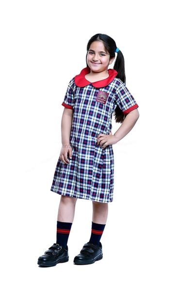 Kendriya Vidyalaya School dress Girls